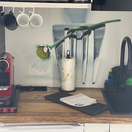 1 Zimmer Appartement In Bad Rothenfelde Eksteriør bilde